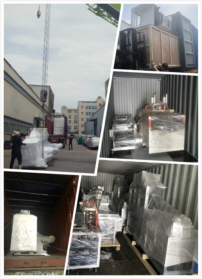 on Roll Plastic Suit Cover Bag Making Machine