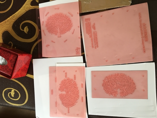 उच्च संकल्प फ्लेक्सो प्रिंटिंग राल बोर्ड इमेजिंग शिमी डिजिटल प्लेट्स